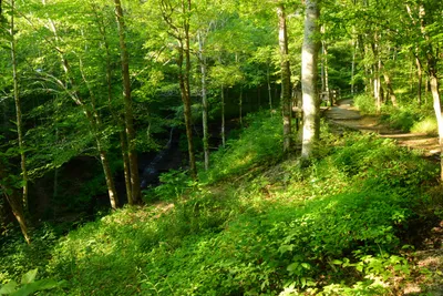 DSC_2859 (Large).JPG